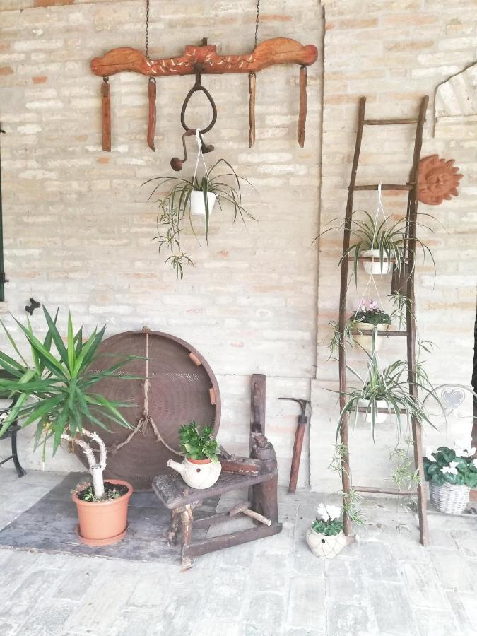 Casa Vacanza Flora Grottazzolina Bagian luar foto