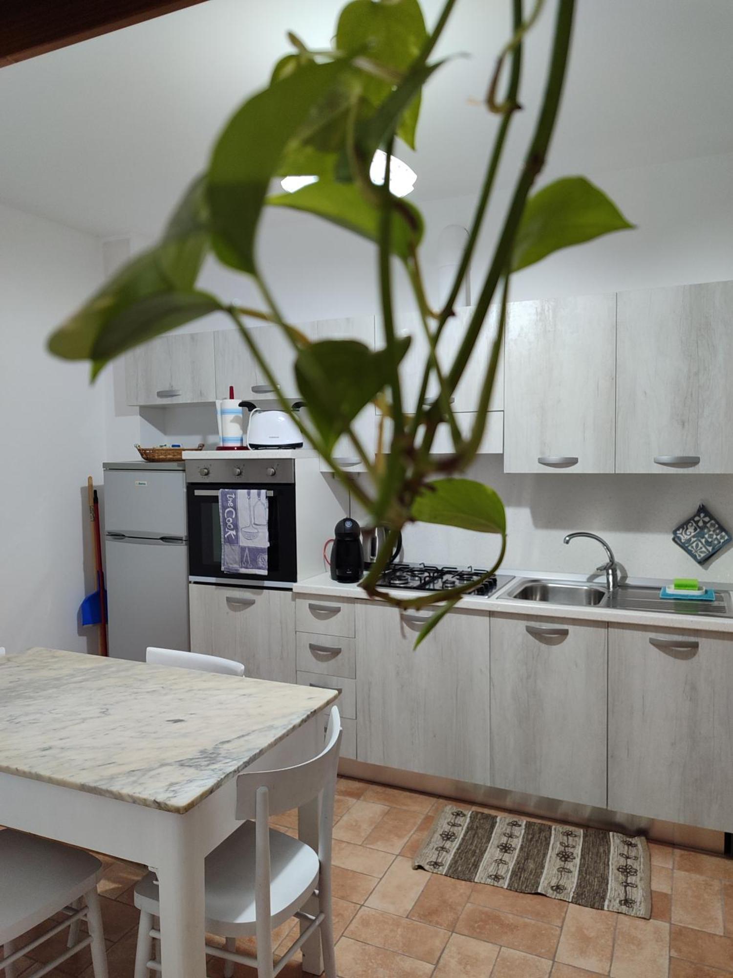 Casa Vacanza Flora Grottazzolina Bagian luar foto